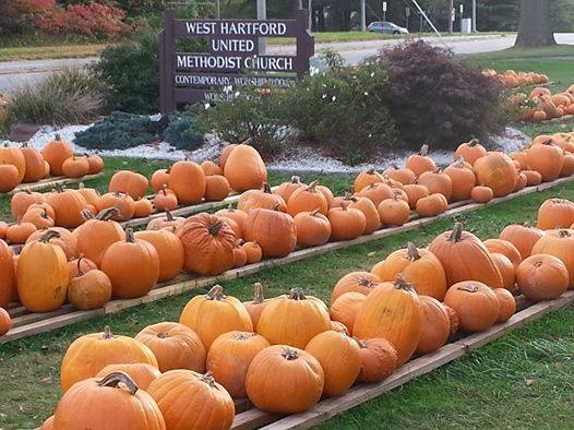 That's a lot of pumpkins!