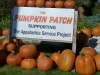 The Pumpkin Patch