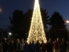 Mega Tree in full festive beauty!